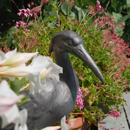 Frühstückspension L'arbre D'ange Montmorillon