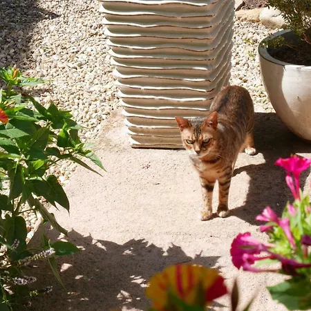 L'arbre D'ange Frühstückspension Montmorillon