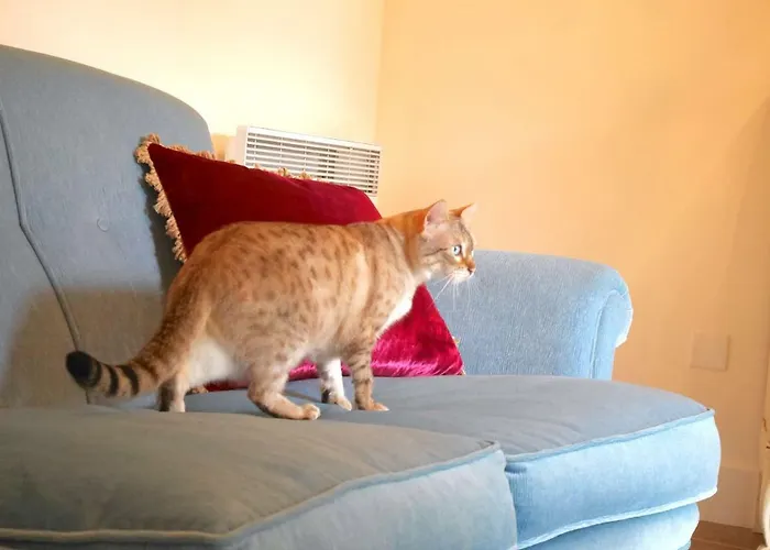 L'arbre D'ange 3* Montmorillon